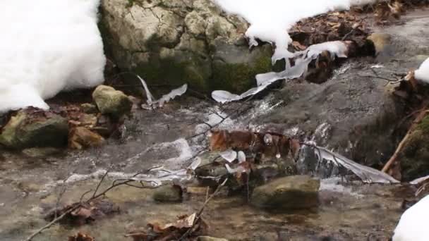 Заморожена річка в снігу. Крупним планом. Заморожена річка . — стокове відео