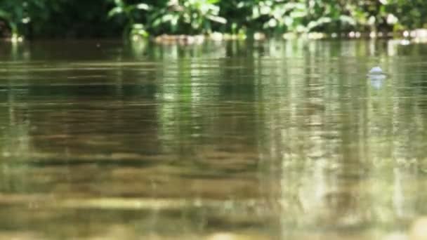 Salpicando río . — Vídeo de stock