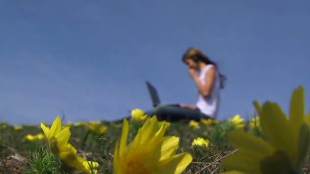 Sárga virágzó virágok — Stock videók