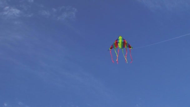 Cerf-volant coloré dans le vent. Cerf-volant dans le vent — Video