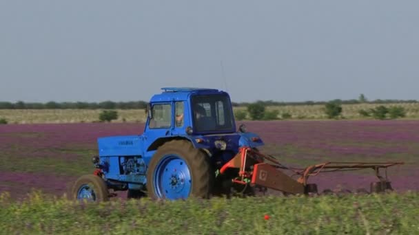 Traktory příprava půdy k setí — Stock video
