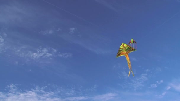Kleurrijke kite in de wind. Kite in de wind — Stockvideo
