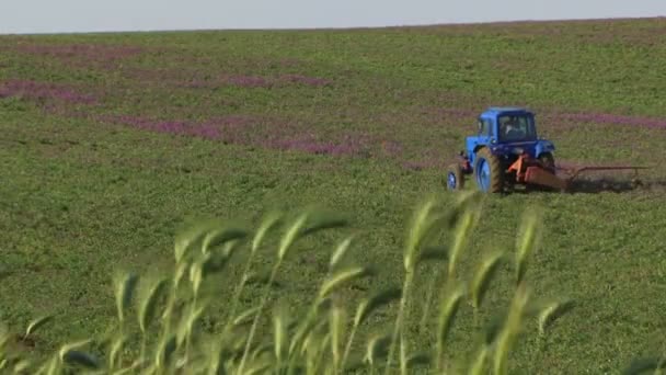 Tracteurs préparant les terres à ensemencer — Video