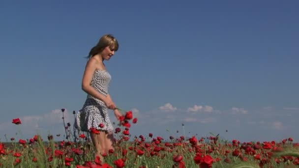 Woman with a bouquet of poppies — Stock Video