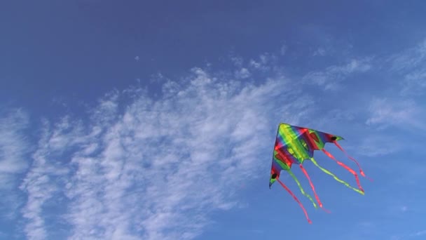 五颜六色的风筝在风中。放风筝在风中 — 图库视频影像