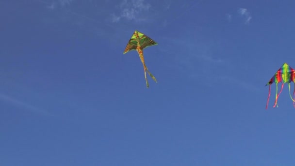 Kleurrijke kite in de wind. Kite in de wind — Stockvideo