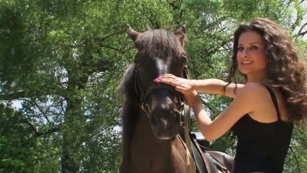 Woman petting stallion — Stock Video