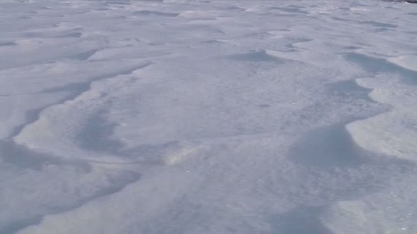 Land mit Schnee bedeckt — Stockvideo