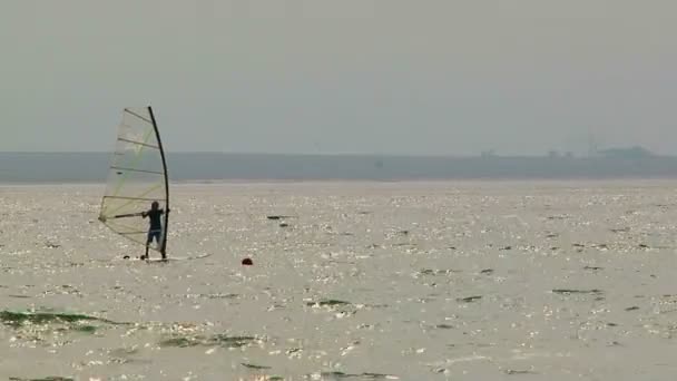 Windsurfistas — Vídeo de stock