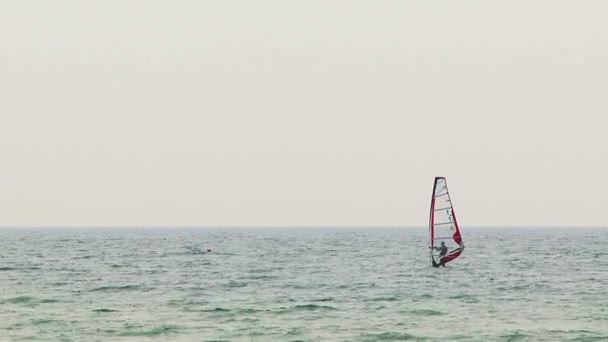 Windsurfista — Video Stock