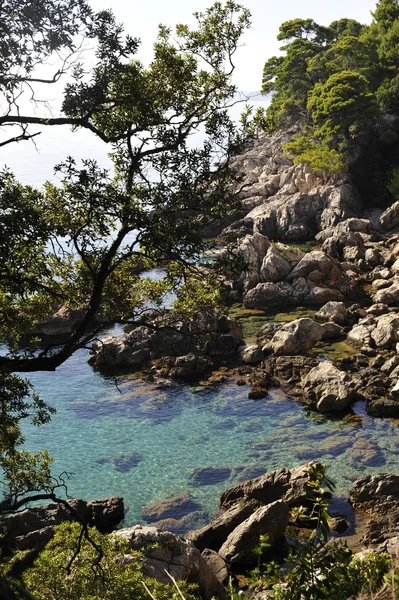 Hırvatistan yeşil kayalık sahil