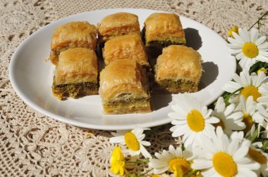 Papatya ile birçok baklava