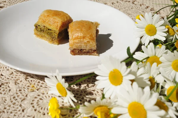 Papatya ile iki baklava