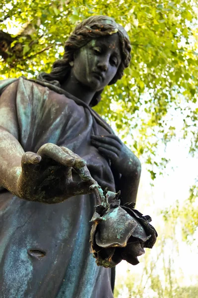 Angel on a grave — Stock Photo, Image