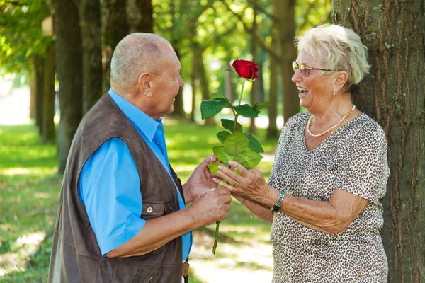 Mature senior couple is in love. Stock Photo