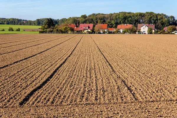 Campo de um agricultor — Fotografia de Stock