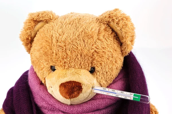 Teddybjörn med termometer — Stockfoto