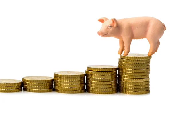 Porco em moedas — Fotografia de Stock