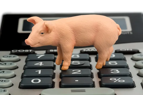 Pork and calculator — Stock Photo, Image