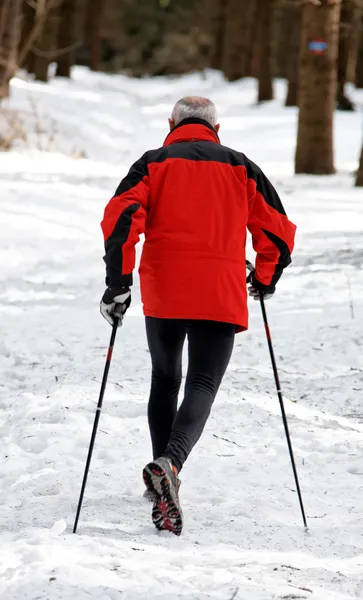 Starszy do nordic walking w zimie — Zdjęcie stockowe