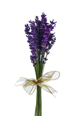 Lavender in front of white background clipart
