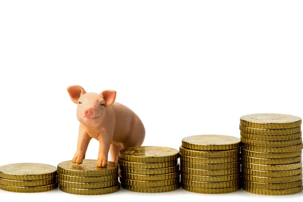 Pig on mÃ¼nzstapel — Stock Photo, Image