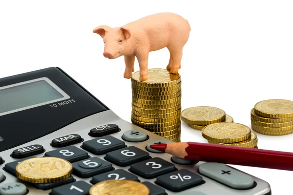 Cerdo y calculadora —  Fotos de Stock