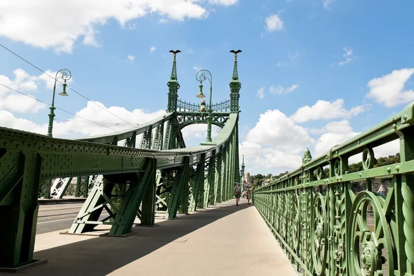 Budapest, hungary, freedom bridge — Stock Photo, Image