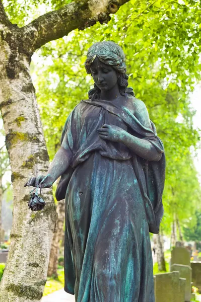 Angel on a grave — Stock Photo, Image