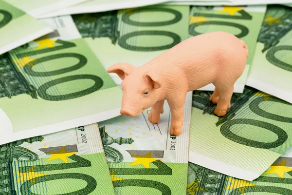 Pig on euro banknotes money — Stock Photo, Image