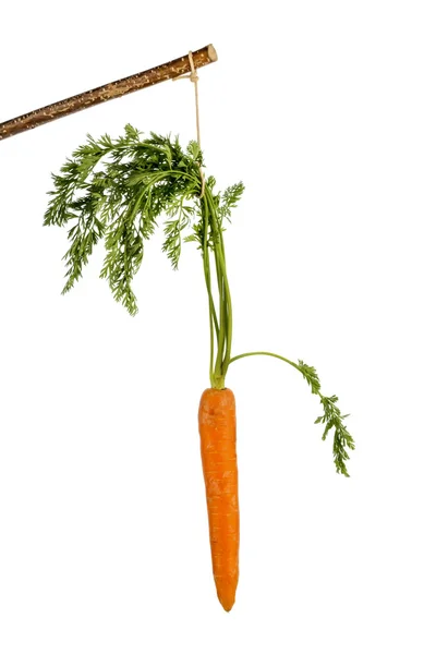 Fresh carrots on floor — Stock Photo, Image