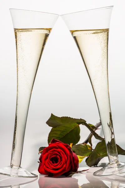 Champagne eller mousserande vin i champagne glas — Stockfoto