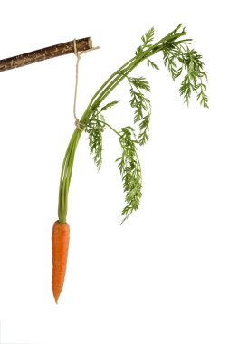 Fresh carrots on floor clipart