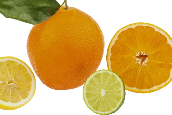 Weerspiegeling van een sinaasappel — Stockfoto