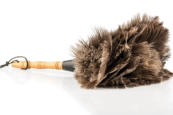 Feather duster against white background — Stock Photo, Image