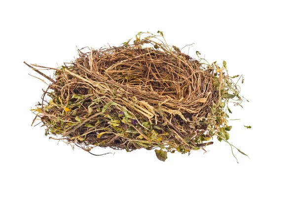 Empty bird's nest — Stock Photo, Image