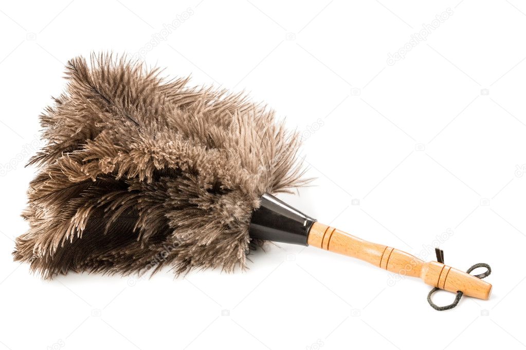 Feather duster against white background Stock Photo by ©ginasanders
