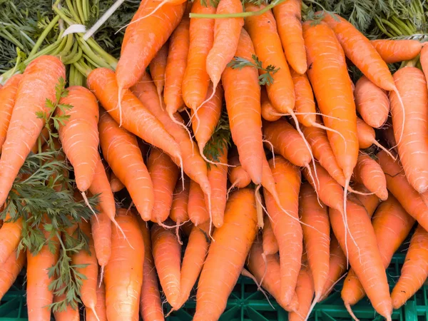 Verse wortelen op de markt — Stockfoto