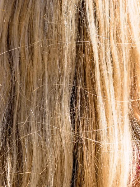 Vrouw met lang blond haar — Stockfoto