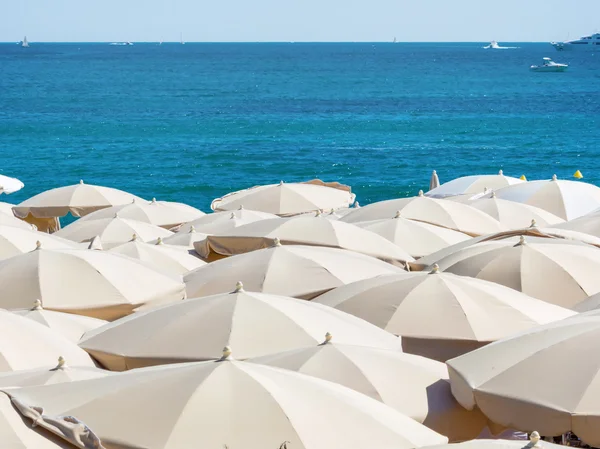 Vele parasols op het strand — Stockfoto