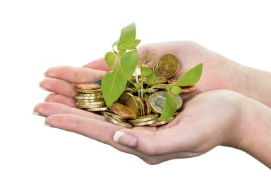 Money and plant. photo save icon clipart