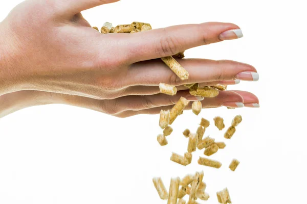 Hand med pellets som en gammal natie energi — Stockfoto