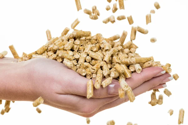 Hand with pellets as an old natie energy — Stock Photo, Image