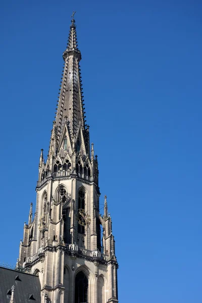 Oostenrijk, linz, st. mary's cathedral — Stockfoto