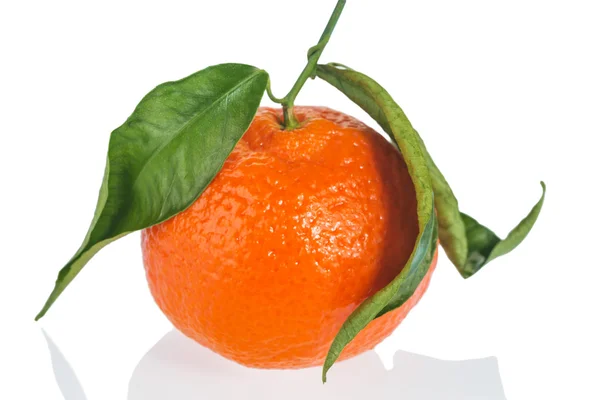 Orange on white background — Stock Photo, Image