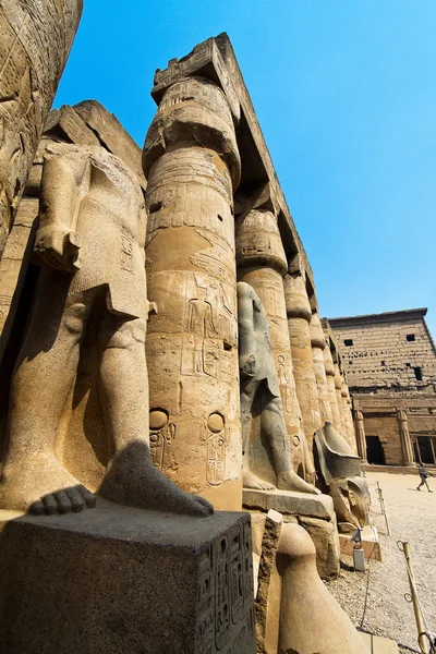 Egypt, luxor, amun temple of luxor. — Stock Photo, Image