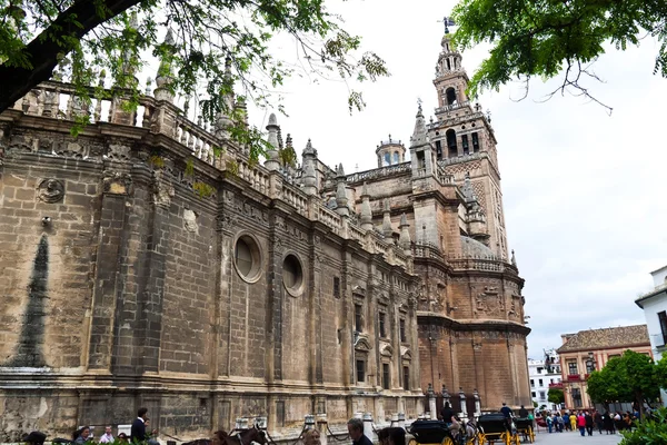 İspanya, seville, — Stok fotoğraf