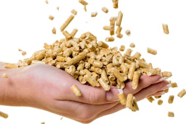 Hand with pellets as an old natie energy clipart