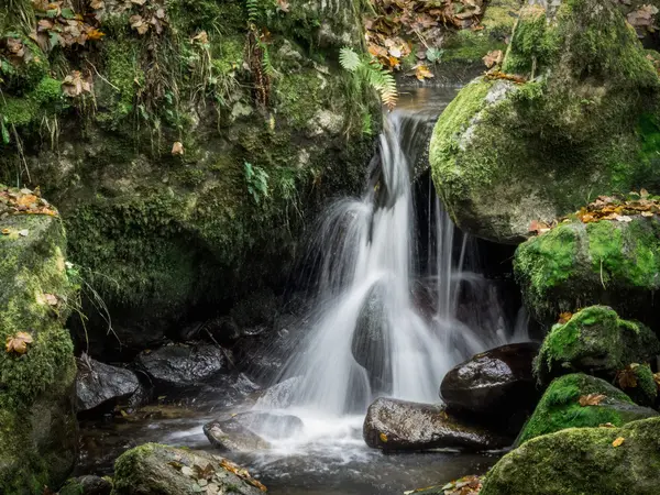 Creek with running water — 图库照片