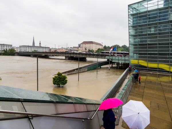 Hochwasser, 2013, linz, Österreich — Stockfoto
